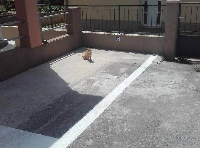 Lägenhet Maremy Zadar